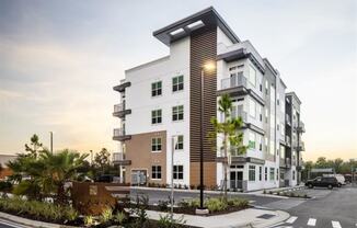 Icaria on Pinellas