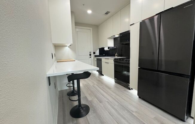 Luxurious Penthouse Studio condo at Zilker
