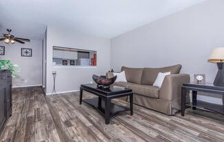1 bed, 1 bath, 725 sqft, $699