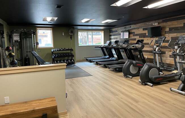 A gym with treadmills, elliptical machines, and dumbbells.