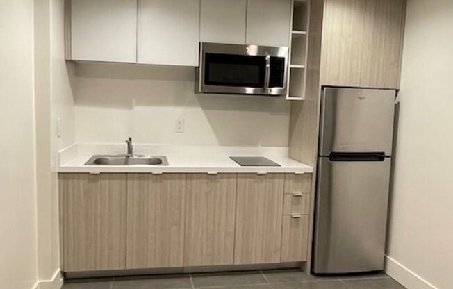 Studio, 1 bath, 640 sqft, $2,300, Unit 205