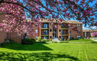 Partner-provided photo for $1249 unit