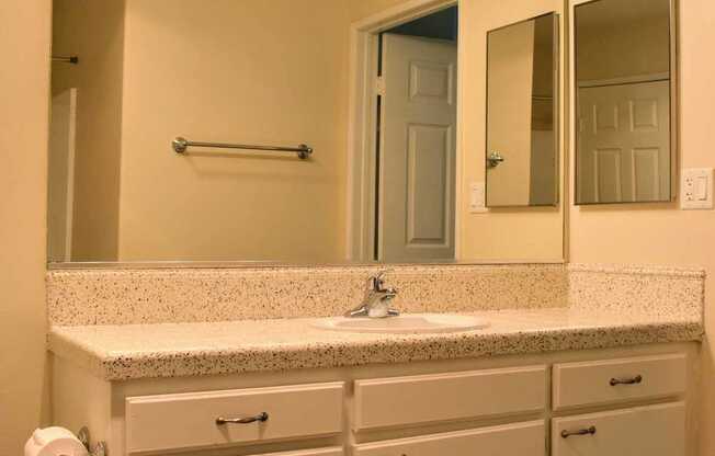 View of bathroom with large vanity, mirror, and lighting