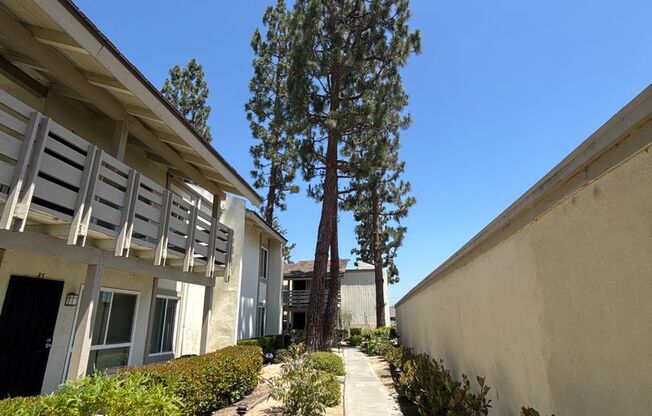 1 bed, 1 bath, 644 sqft, $2,125, Unit 86