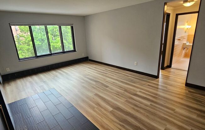 1 bed, 1 bath, 486 sqft, $1,170, Unit 316-311