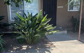Shady Lane Apartments