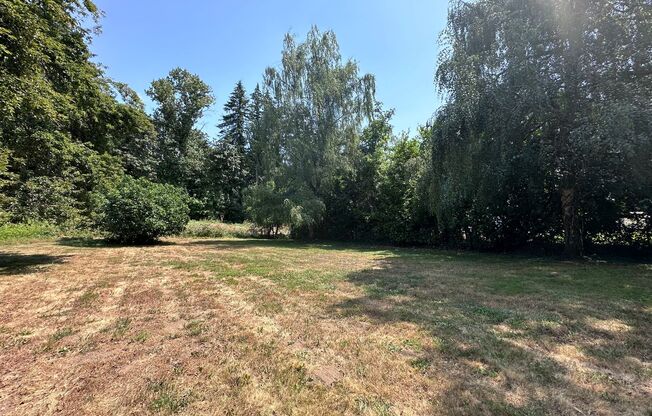 Lewis & Clark Law Students ONLY