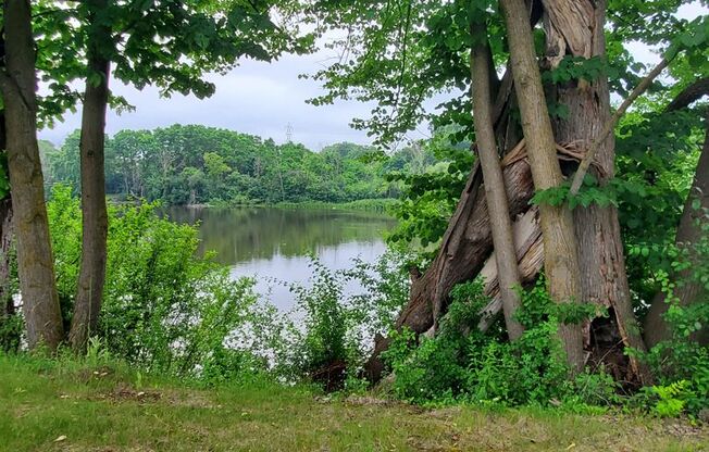 2 beds, 1 bath, 856 sqft, $1,269, Unit PL   7605