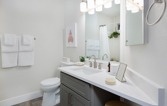 a bathroom with a sink and a toilet