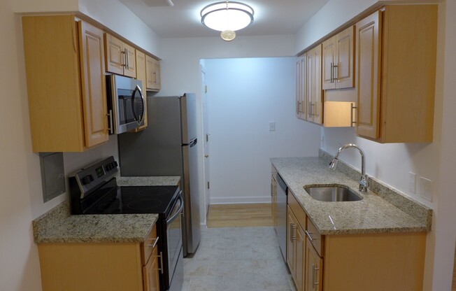 1 bed, 1 bath, 685 sqft, $1,450, Unit 503