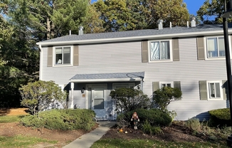 46 VLG HL LN