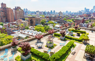 Large landscaped community rooftop terrace with dining tables and sun chairs at 95 Horatio St Apartm