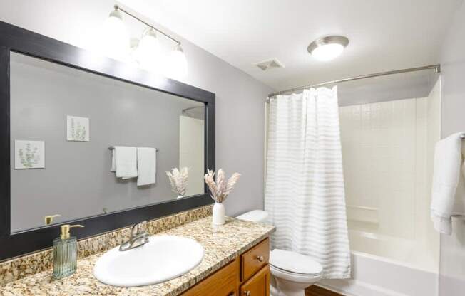 A bathroom with a sink, mirror, toilet, and shower.