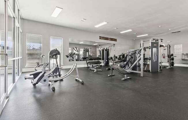 A gym with a variety of equipment including a treadmill, a stationary bike, and a rowing machine.