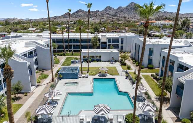 Pool with palm trees at The Halifax apartments in Phoenix, AZ.