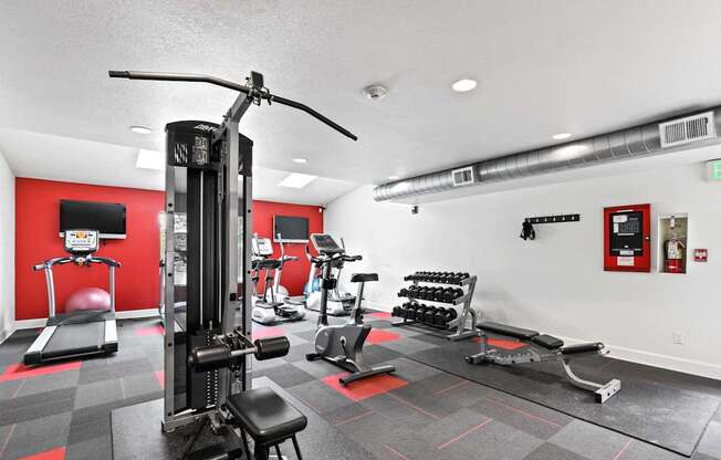 A gym with a variety of equipment including a treadmill, weights, and a bench press.