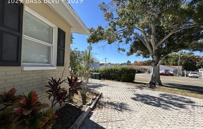 1029 BASS BLVD