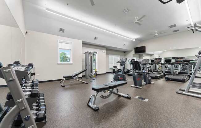 A spacious gym with a variety of equipment including treadmills, weights, and exercise machines.