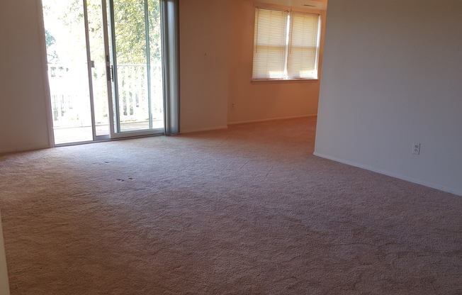 2 beds, 1 bath, $1,250, Unit APARTMENT E