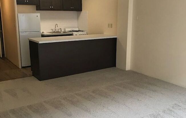 Studio, 1 bath, 375 sqft, $850, Unit 406