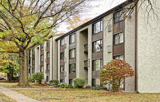 A tree with red leaves in front of a building.