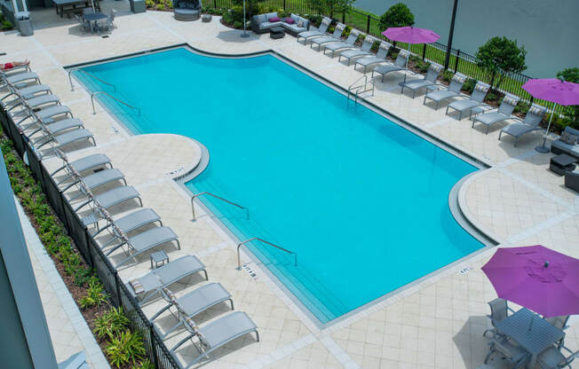 Swimming Pool at Palms at Magnolia Park in Riverview, FL