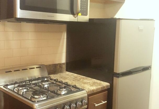 Studio, 1 bath, 375 sqft, $1,300, Unit 4031-210