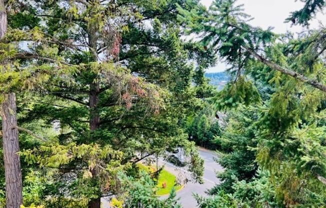 2 beds, 2 baths, 990 sqft, $2,595, Unit A 107