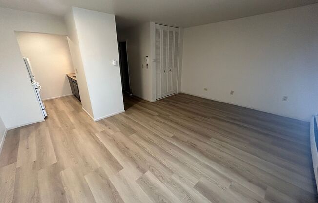 Studio, 1 bath, $875, Unit 206