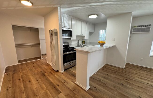 Studio, 1 bath, 500 sqft, $1,625, Unit 045#46