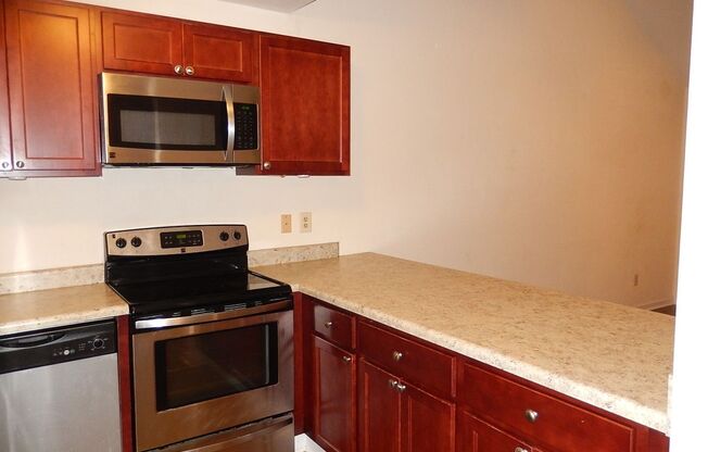 FABULOUS 2/2 Close to FSU w/ Stainless Steel Appliances, Washer/Dryer, & Deck! Avail August 1st for $1300/month!