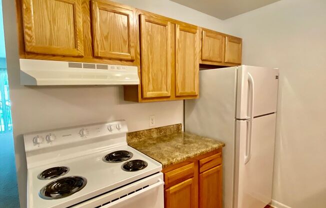 1 bed, 1 bath, 750 sqft, $1,145, Unit 504