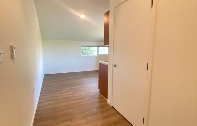 Studio, 1 bath, 175 sqft, $1,450, Unit 4511