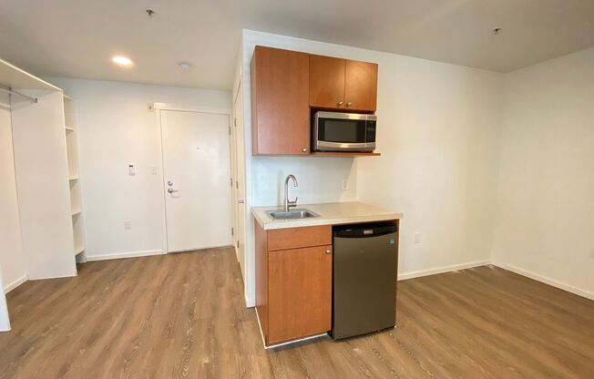 Studio, 1 bath, 175 sqft, $1,350, Unit 5310