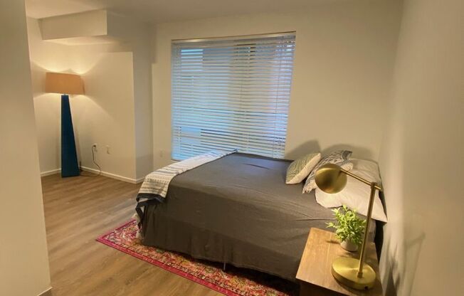 Studio, 1 bath, 180 sqft, $1,195, Unit 5209