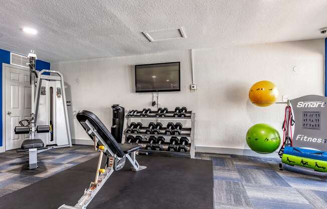 the gym at the house