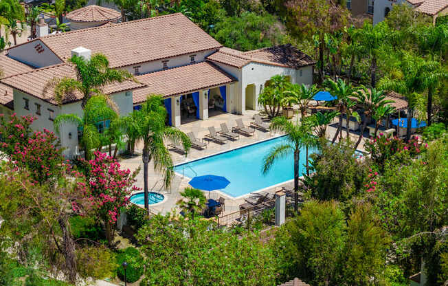 A house with a pool surrounded by trees.