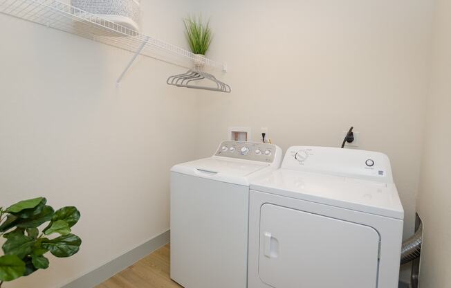 a white washer and dryer in a room with a plant and a rack