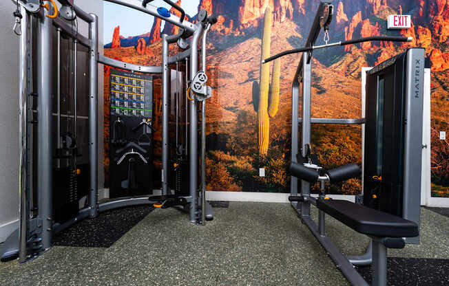 A gym with a picture of a canyon on the wall.