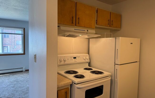 2 beds, 1 bath, 550 sqft, $725, Unit 1119-206
