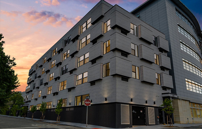 Studio, 1 bath, $2,000, Unit 204