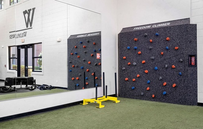 a large wall of exercise equipment in a room with grass