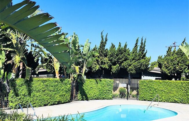 Village Pines