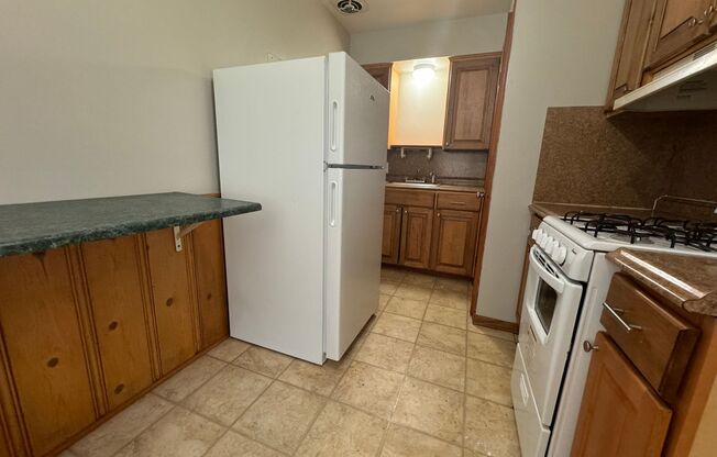 1 bed, 1 bath, 484 sqft, $735, Unit 1521P-1