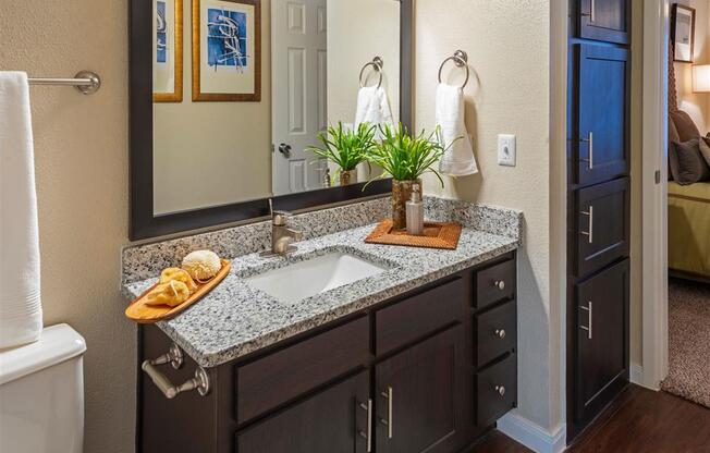 a bathroom with a sink and a mirror