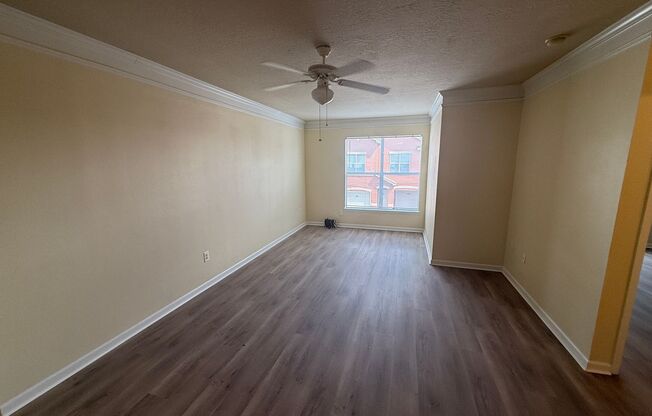 1 bed, 1 bath, $1,600