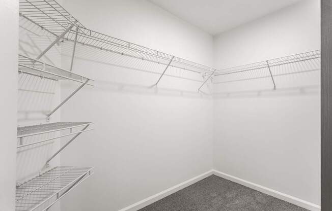 A room with a grey carpet and metal shelving units.