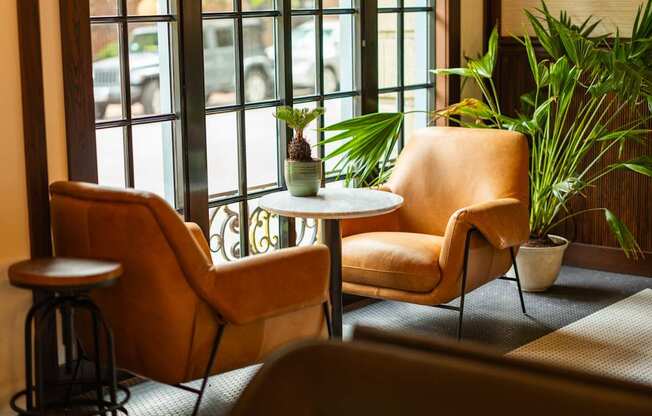 Dollop Coffee Shop inside The Belden Stratford in Lincoln Park, Chicago 60614