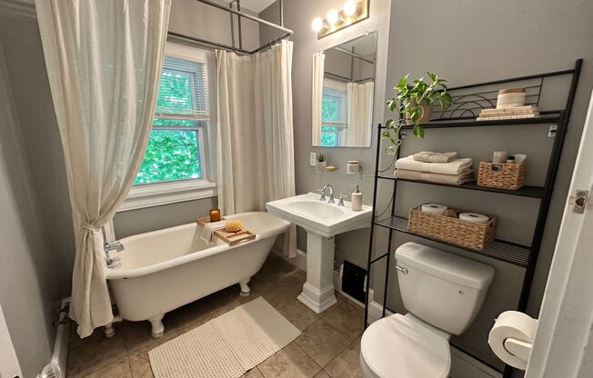 Spacious & Sunny 4 Bedroom Unit - Walk to Lake of the Isles & Sculpture Garden