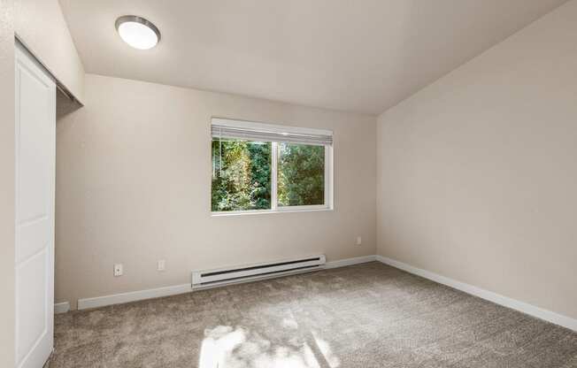 A room with a window and a carpeted floor.